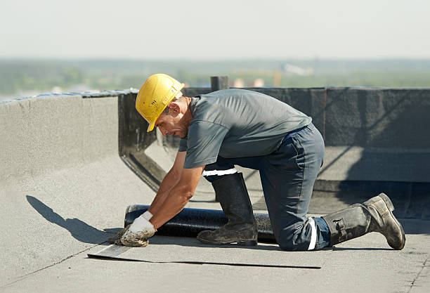 Best Basement Insulation  in Brooklyn, IA